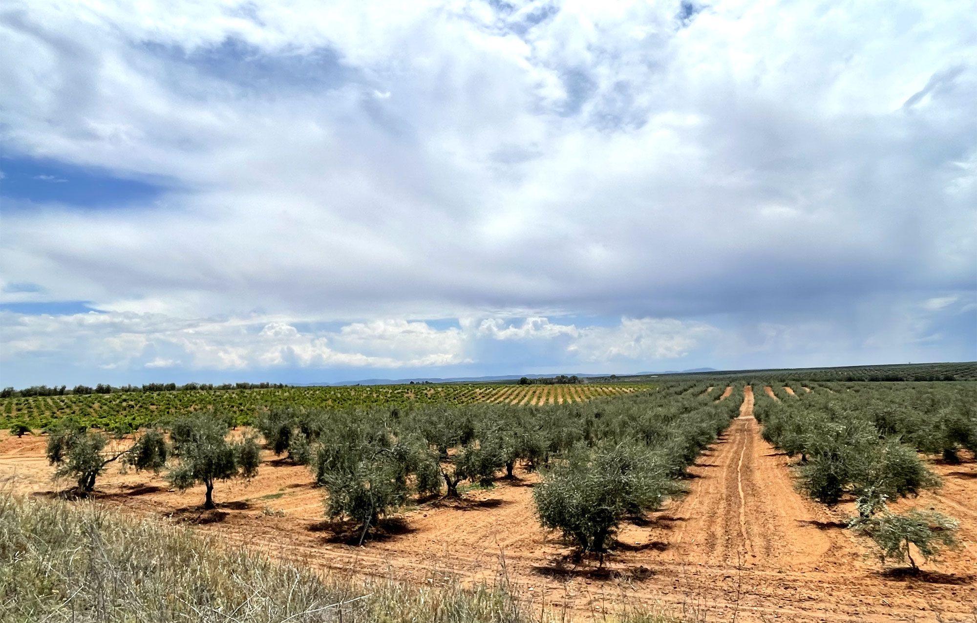 Solares y Terrenos. GRUPIN, S.A.  en Almazora - Almassora